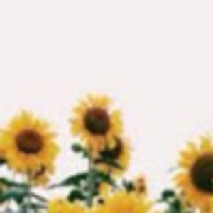 Meet your Posher, Rylee